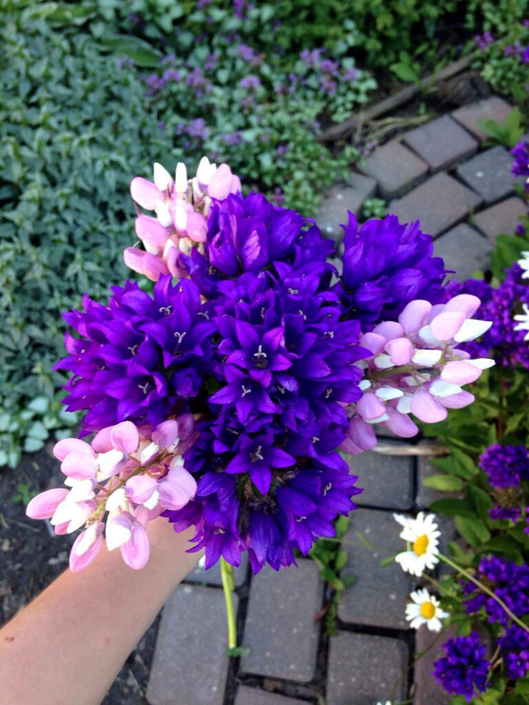 The 36 Best Cut Flowers to Feed Your Floral Arranging Habit All Summer Long