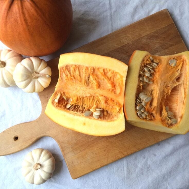 Image for How to Harvest & Process Fresh Pumpkin