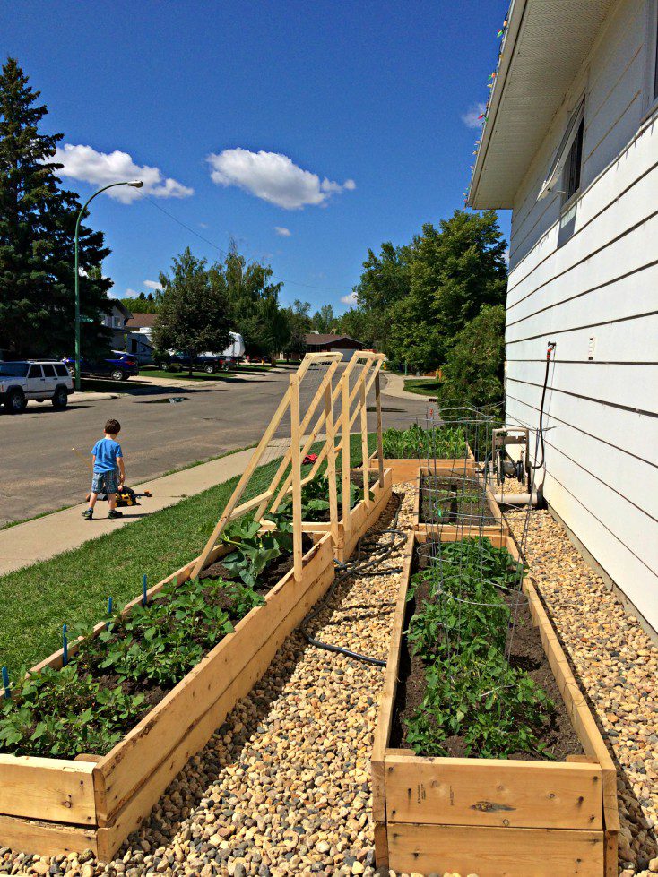 the solution to an unused side yard: graham & sarah's