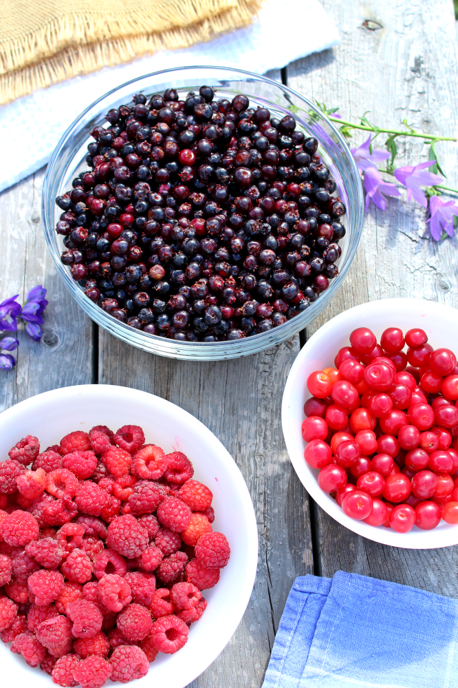 Sour Cherry and Saskatoon Berry Products made in Saskatchewan