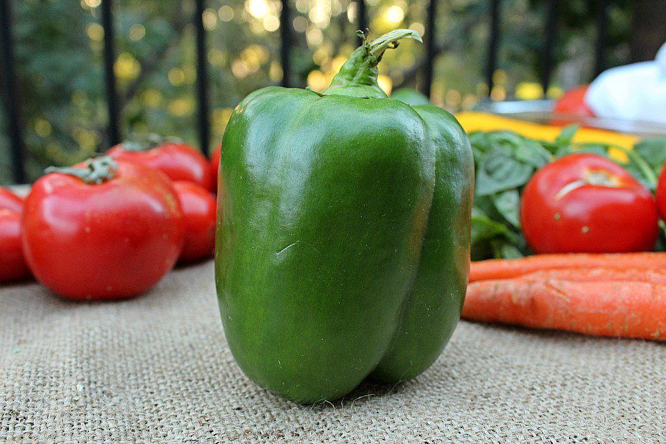 Can you put pepper plants together in one big pot? – Sandia Seed