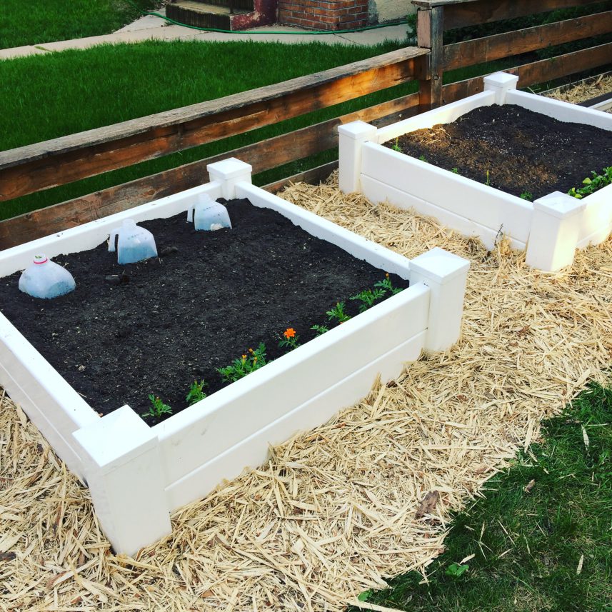 How To Design A Front Yard Raised Bed Vegetable Garden