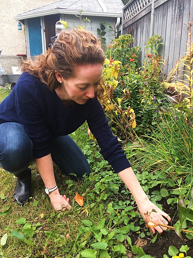 How to Clean Up Your Garden in the Fall When You Have No Time