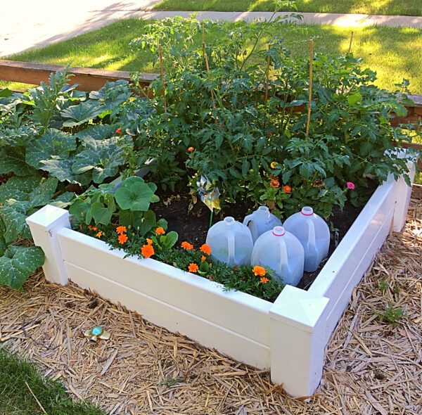 How to Design a Front Yard Raised Bed Vegetable Garden | Shifting Roots