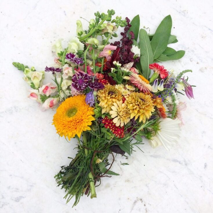 Image for How to Create a Stunning Bouquet with Annuals from Your Backyard