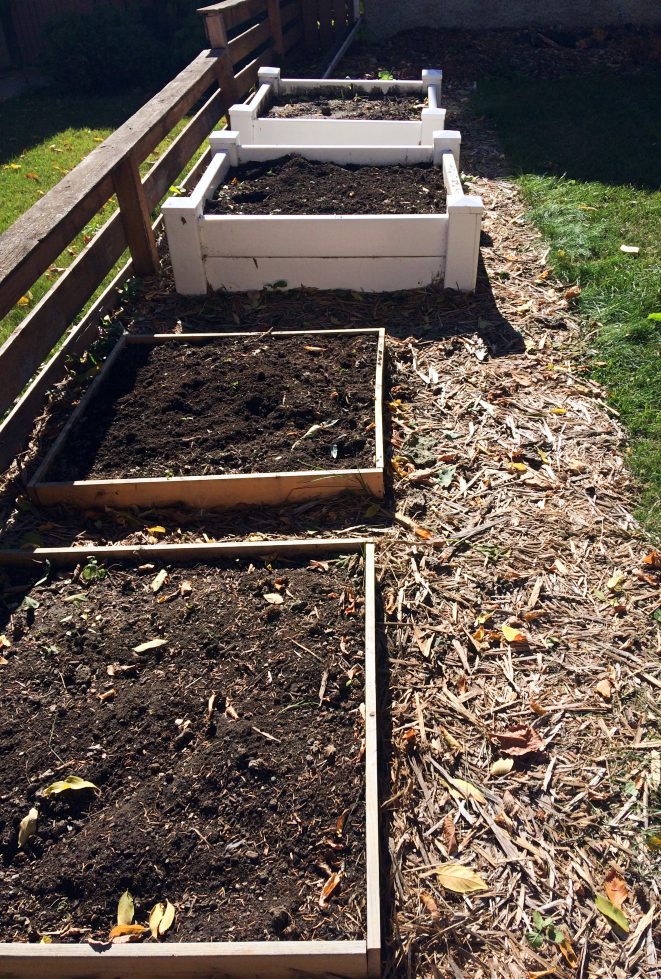 How To Design A Front Yard Raised Bed Vegetable Garden