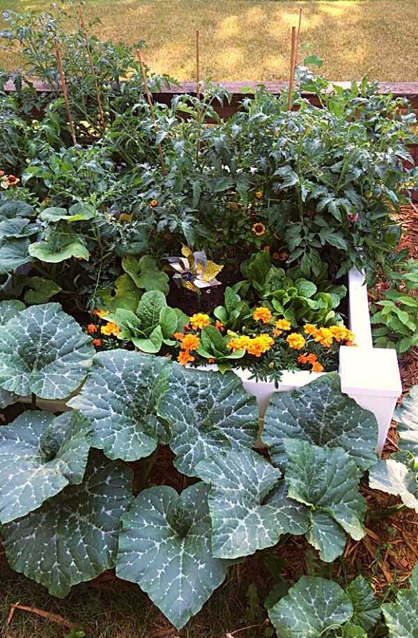 How to Design a Front Yard Raised Bed Vegetable Garden | Shifting Roots