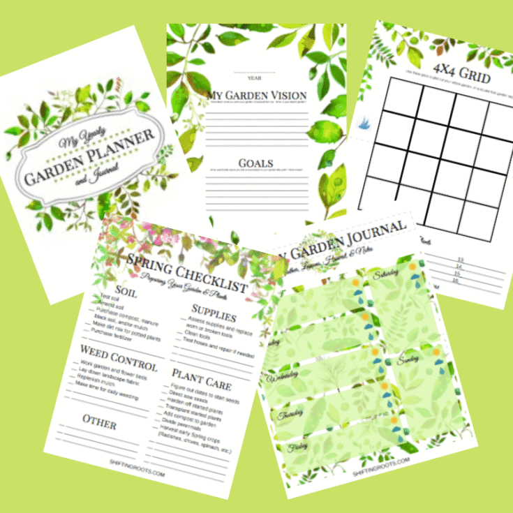 Image for How to Plan Your Garden: Purchasing, Seed Starting, and Planting