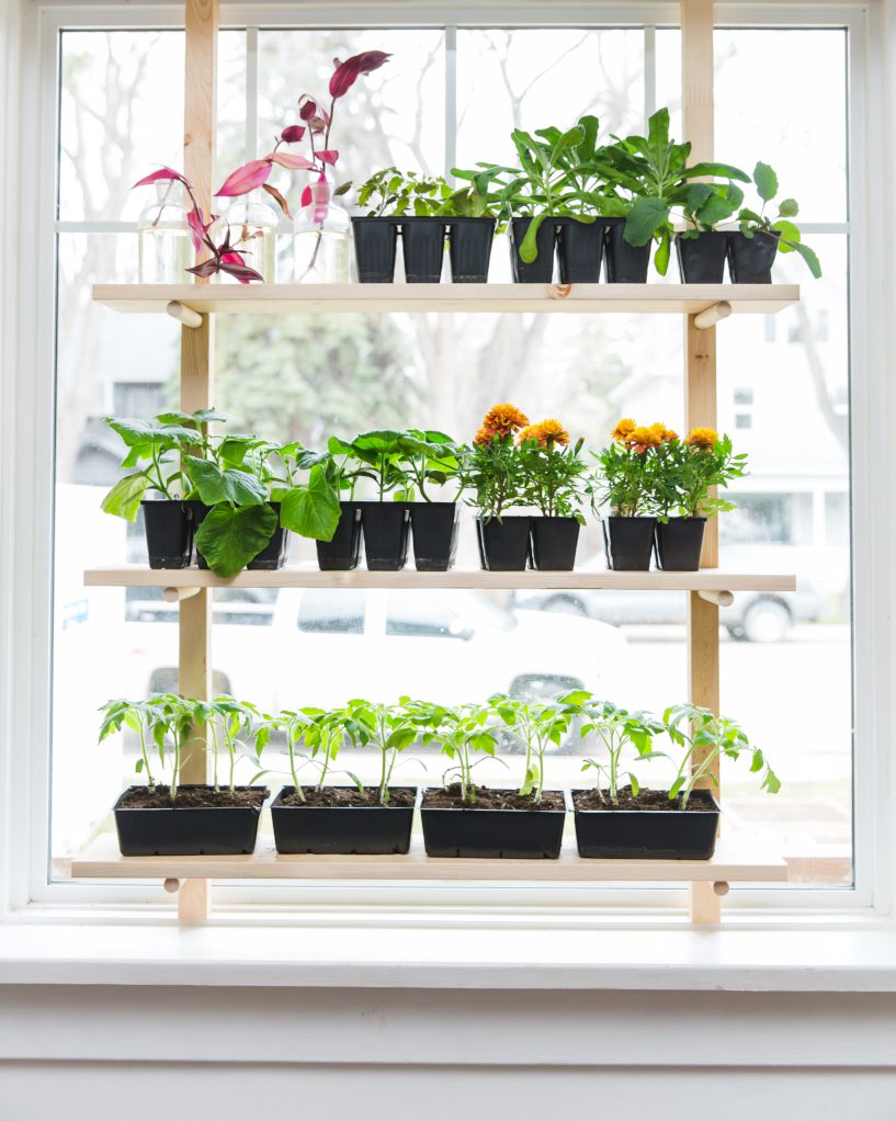 Vintage Seed Packets in an Antique Window Frame