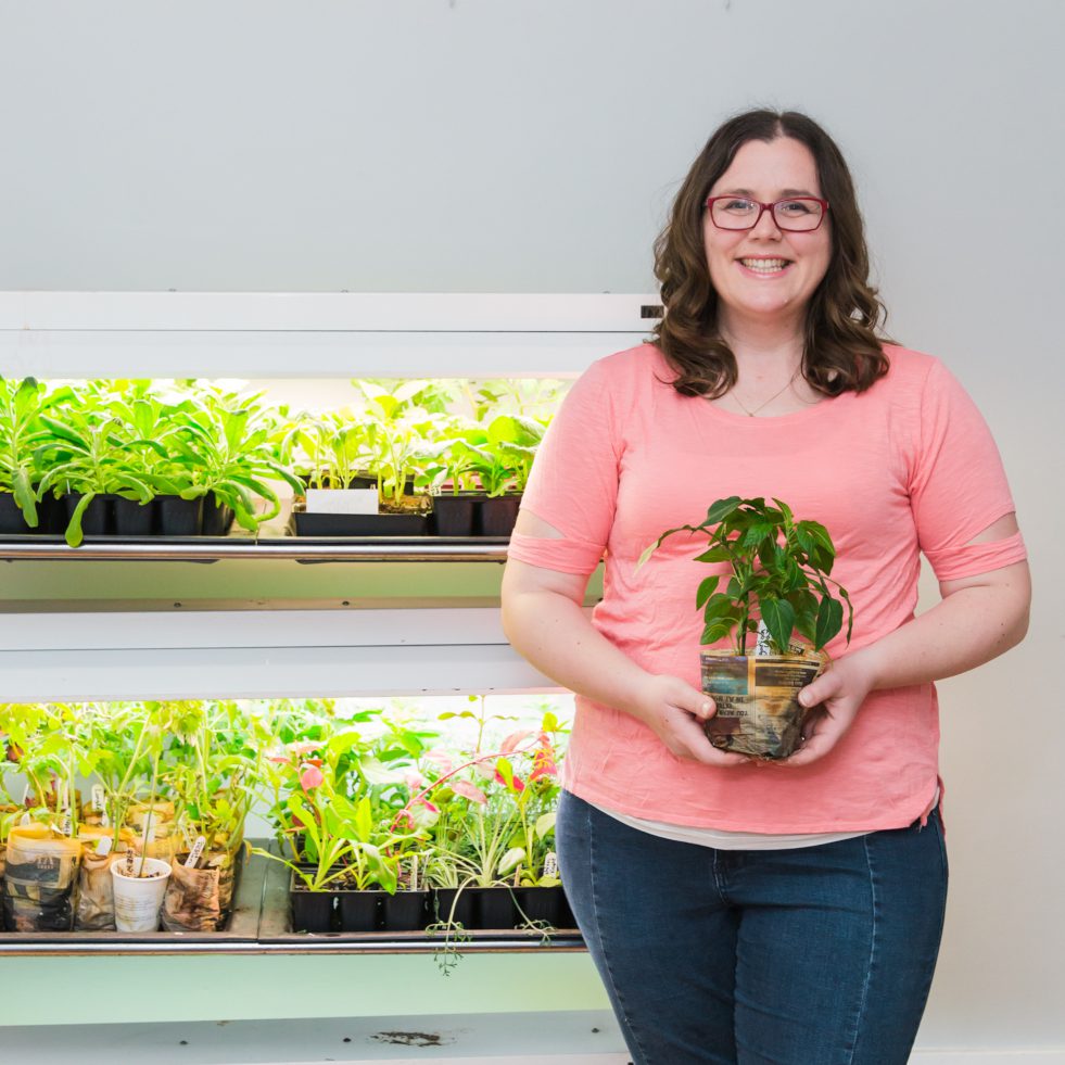 seed starting grow lights