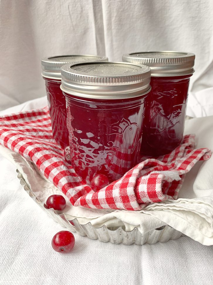 Chokecherry Jelly Recipe (with low-sugar/honey)