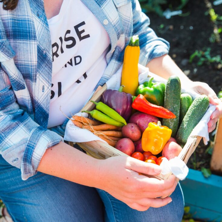 Image for 10 Easy to Grow Vegetables for Beginners (Plus 5 You'll Want to Avoid)