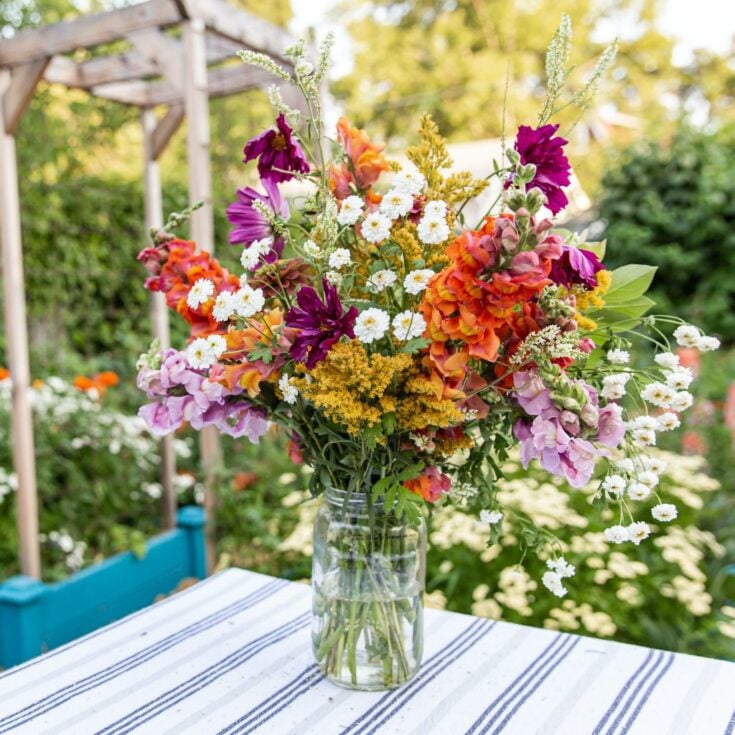 Image for How to Start a Cut Flower Garden