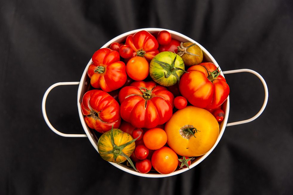 How to Pick the Best Tomato Varieties for Your Garden