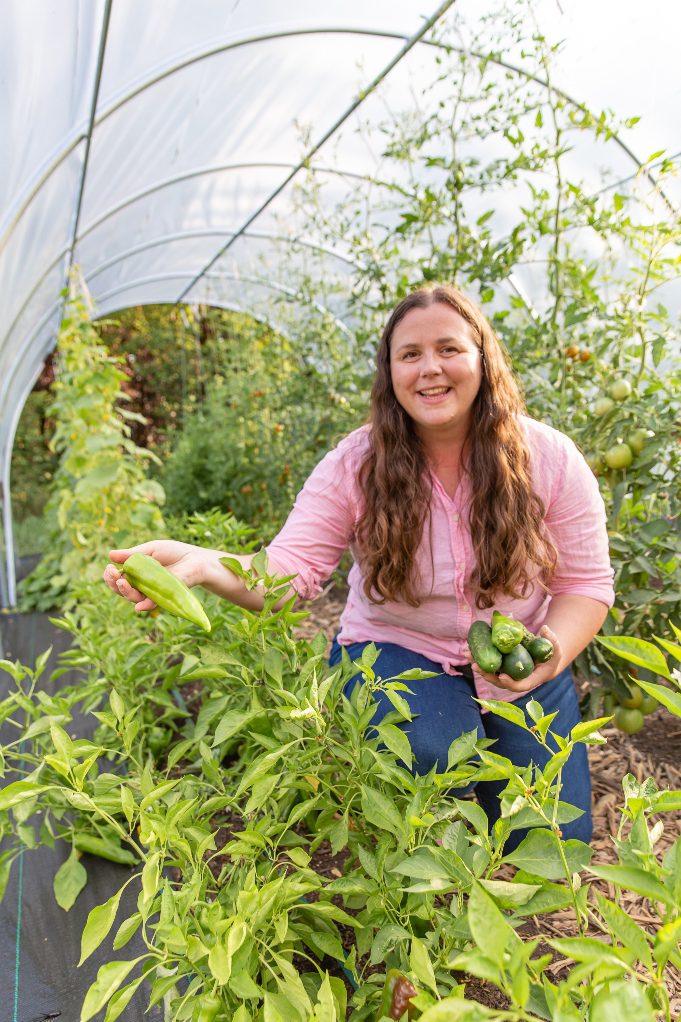 Can you put pepper plants together in one big pot? – Sandia Seed