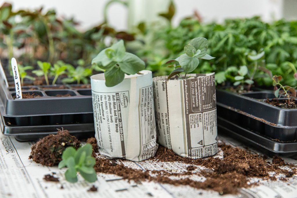 Biodegradable and Compostable Pots – Biodegradable seed starter