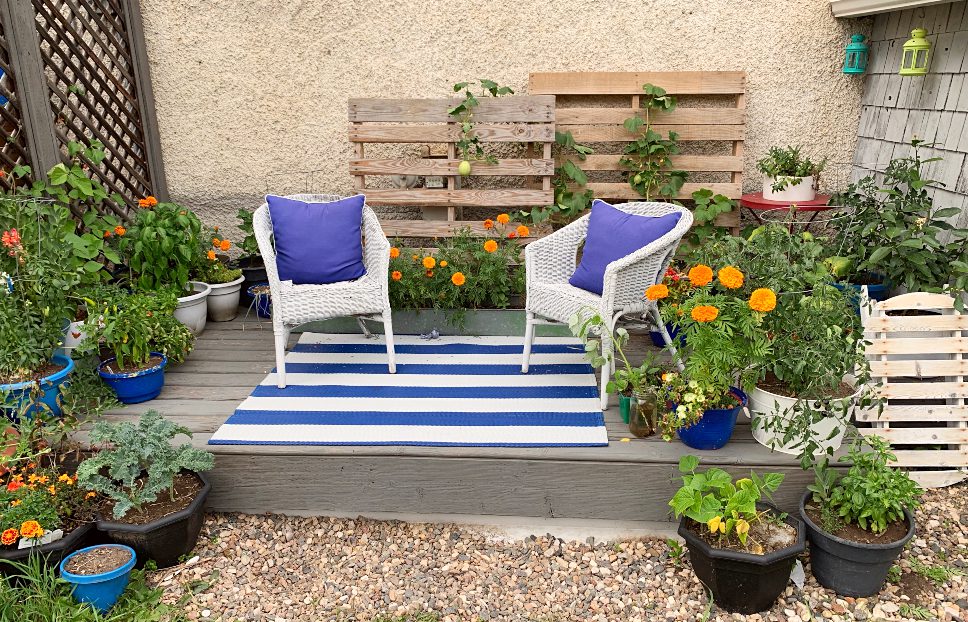 My Container Vegetable Garden