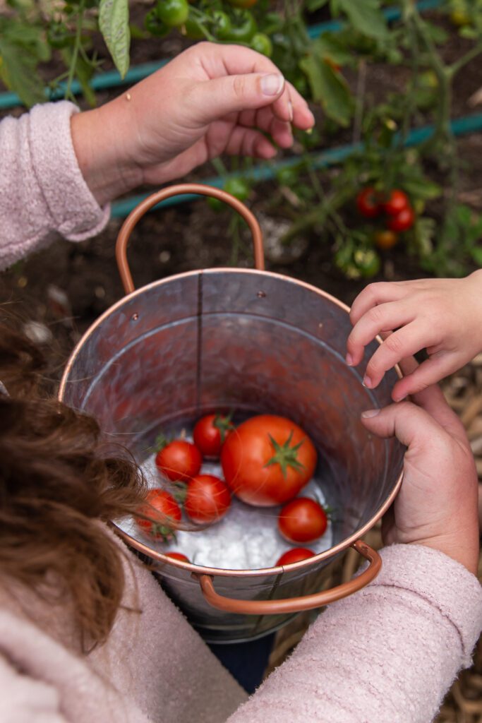 Foolproof - Rotten Tomatoes