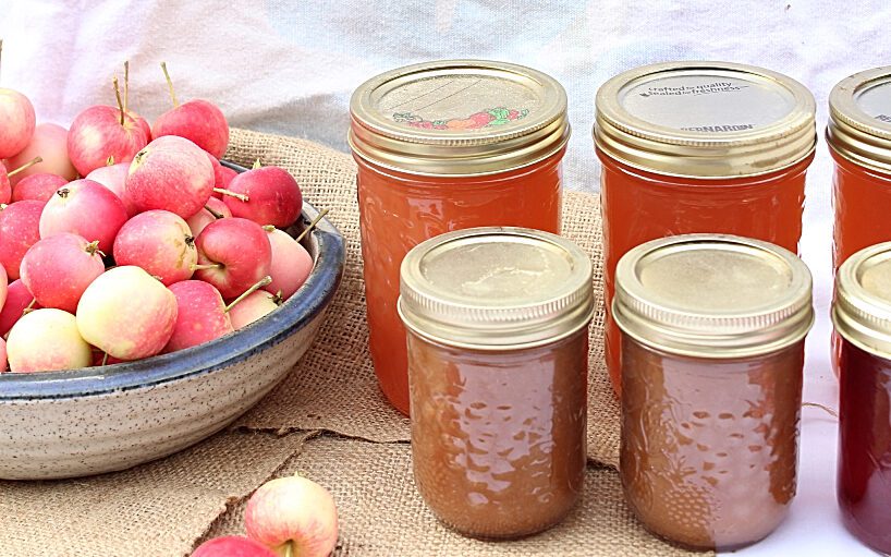 Canning Apple Juice