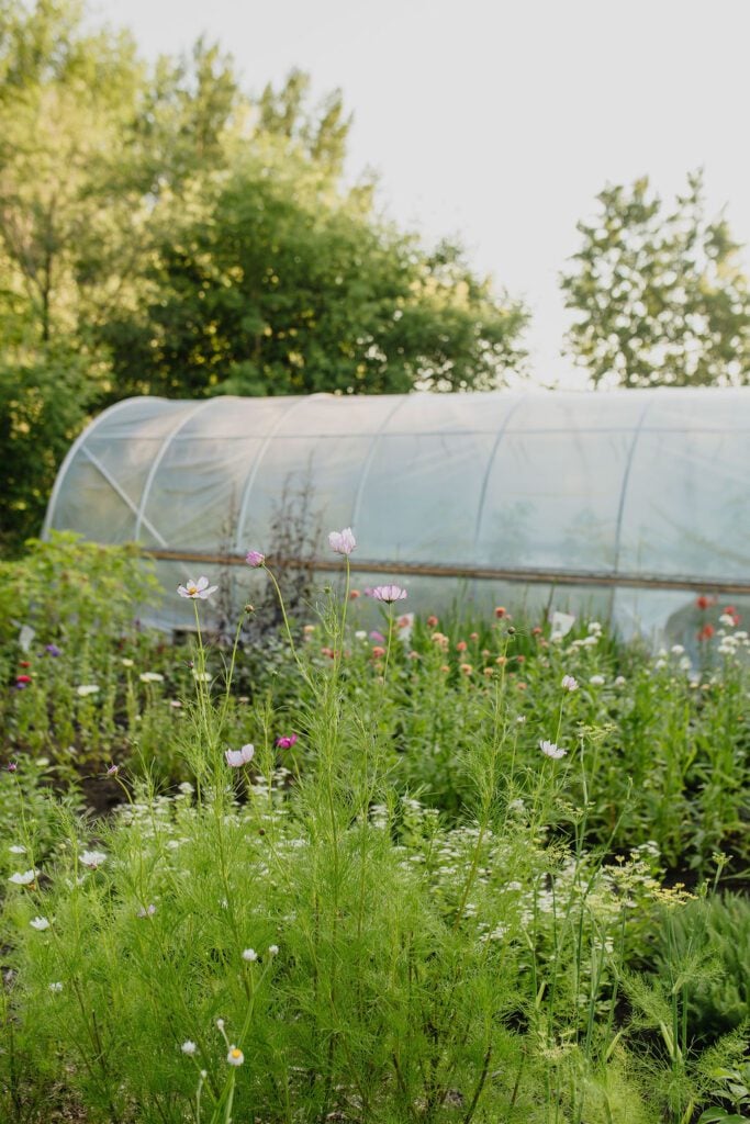What Grows in Zone 3 | Shifting Roots