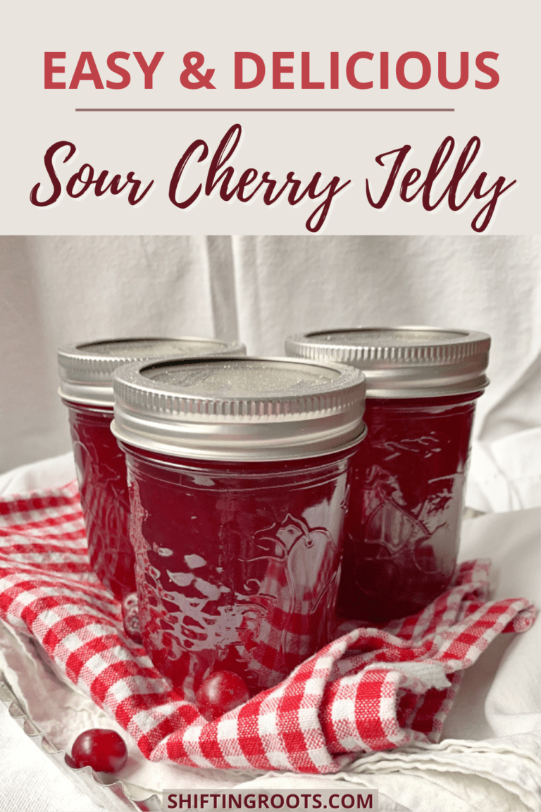 Sour Cherry Jelly 