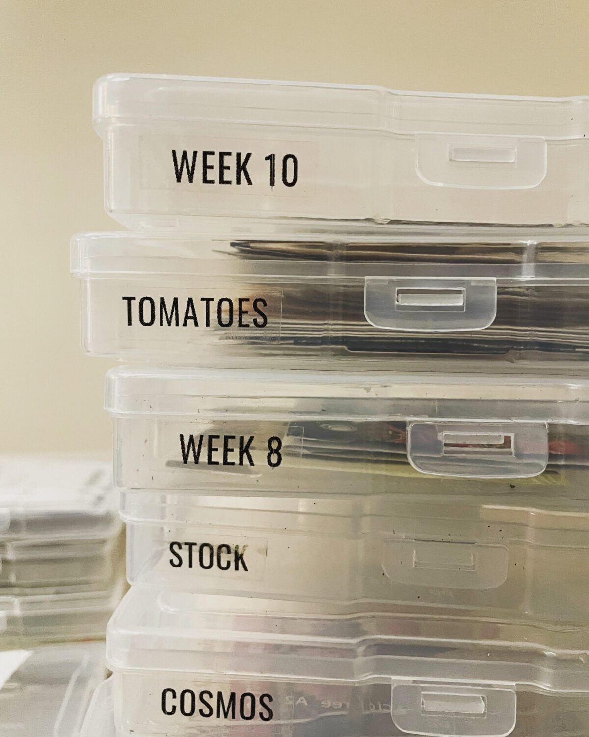 From Seed Hoarder to Organized Bliss: The Easiest Way to Organize Your Seed  Stash