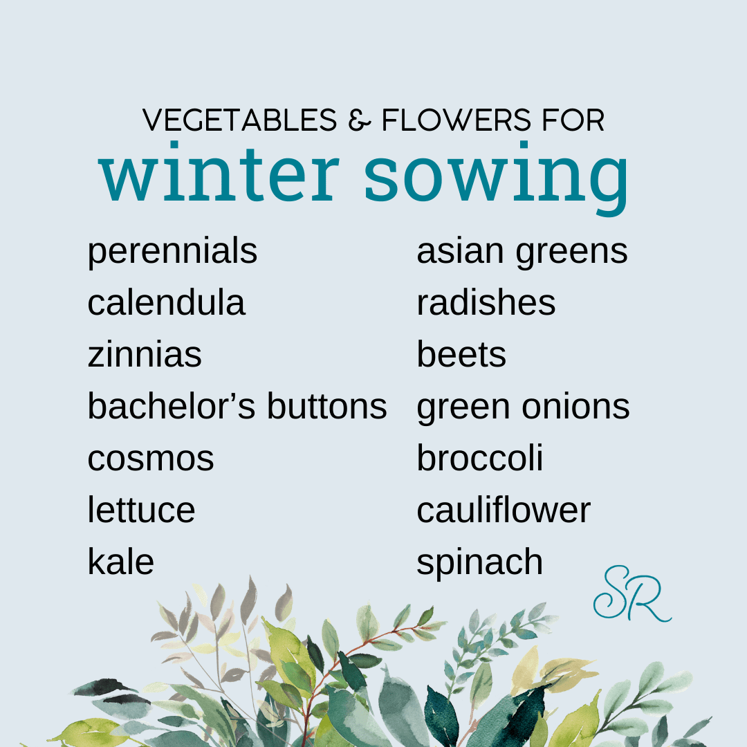 The Best Vegetables & Flowers to Start with Winter Sowing Shifting Roots