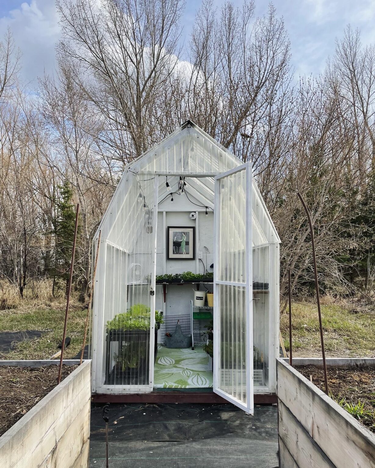 Growing with an Unheated Greenhouse in Zone 3 Shifting Roots