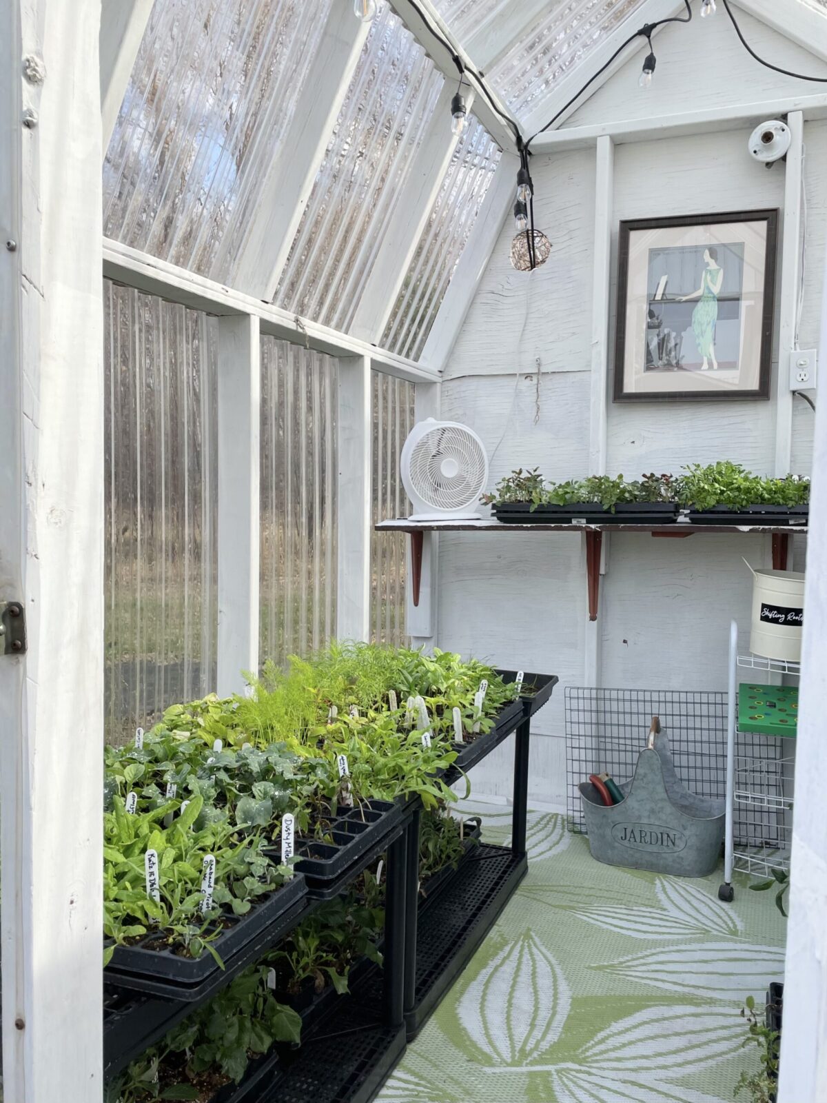 Growing with an Unheated Greenhouse in Zone 3 Shifting Roots Growing with an Unheated Greenhouse in Zone 3 Shifting Roots