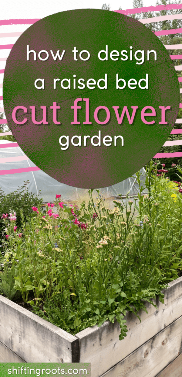 How to Design a Cut Flower Garden in Raised Beds Shifting Roots