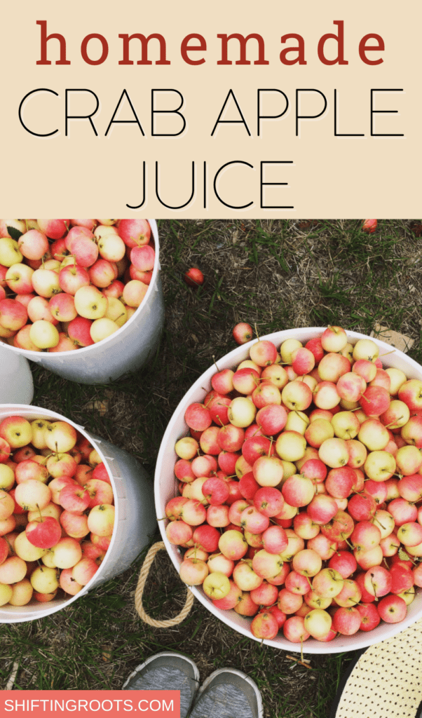 How to Make Crabapple Juice - My Frugal Home