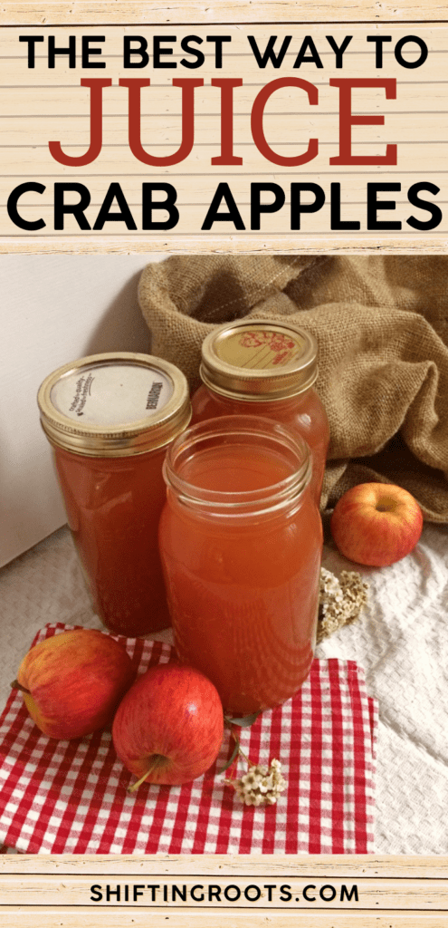 How to Make Crabapple Juice - My Frugal Home