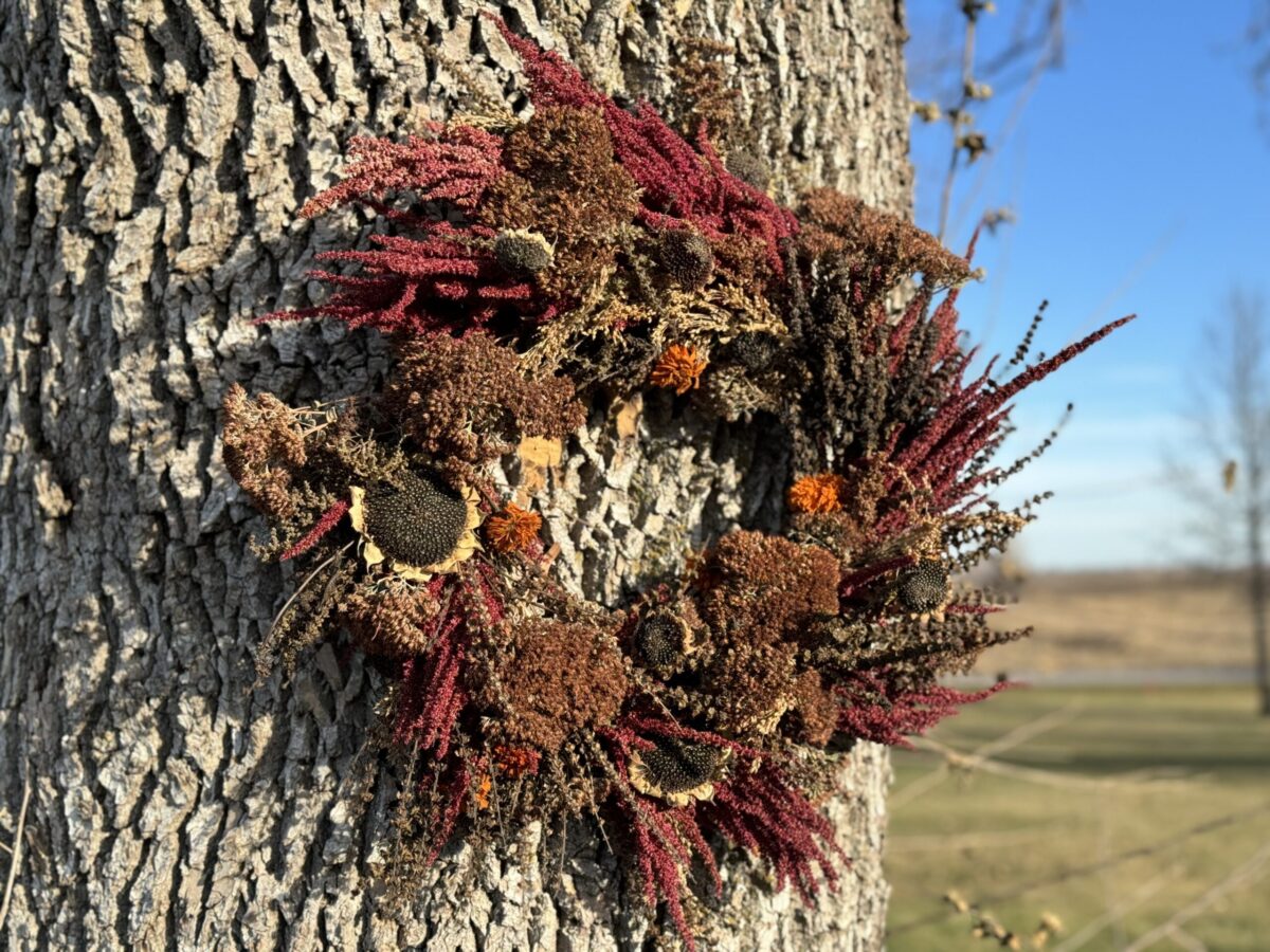 Handmade Bird Feeder Wreaths The Perfect DIY for those Cold Winter