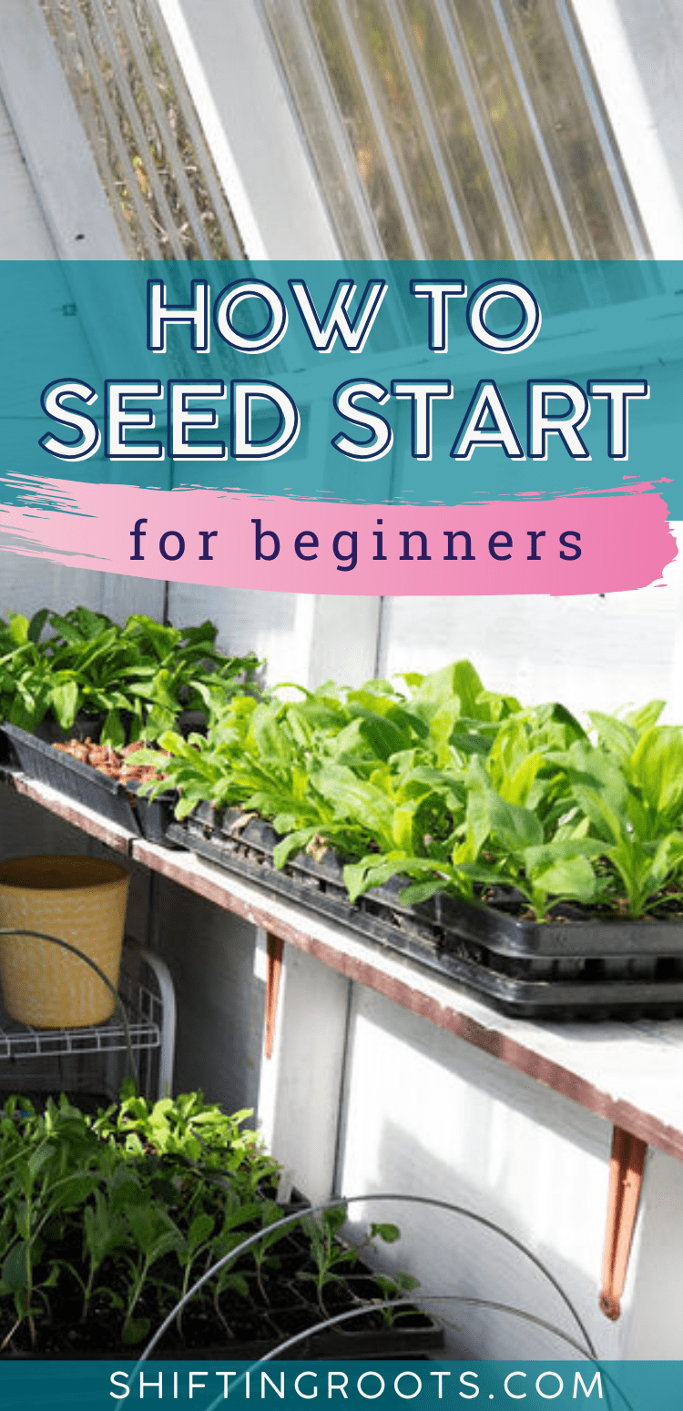 How to Seed Start | Shifting Roots