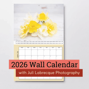 2026 Shifting Roots x Juli Labrecque Photography Wall Calendar