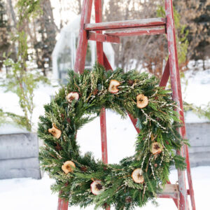 Apple & Anise Wreath--Regular
