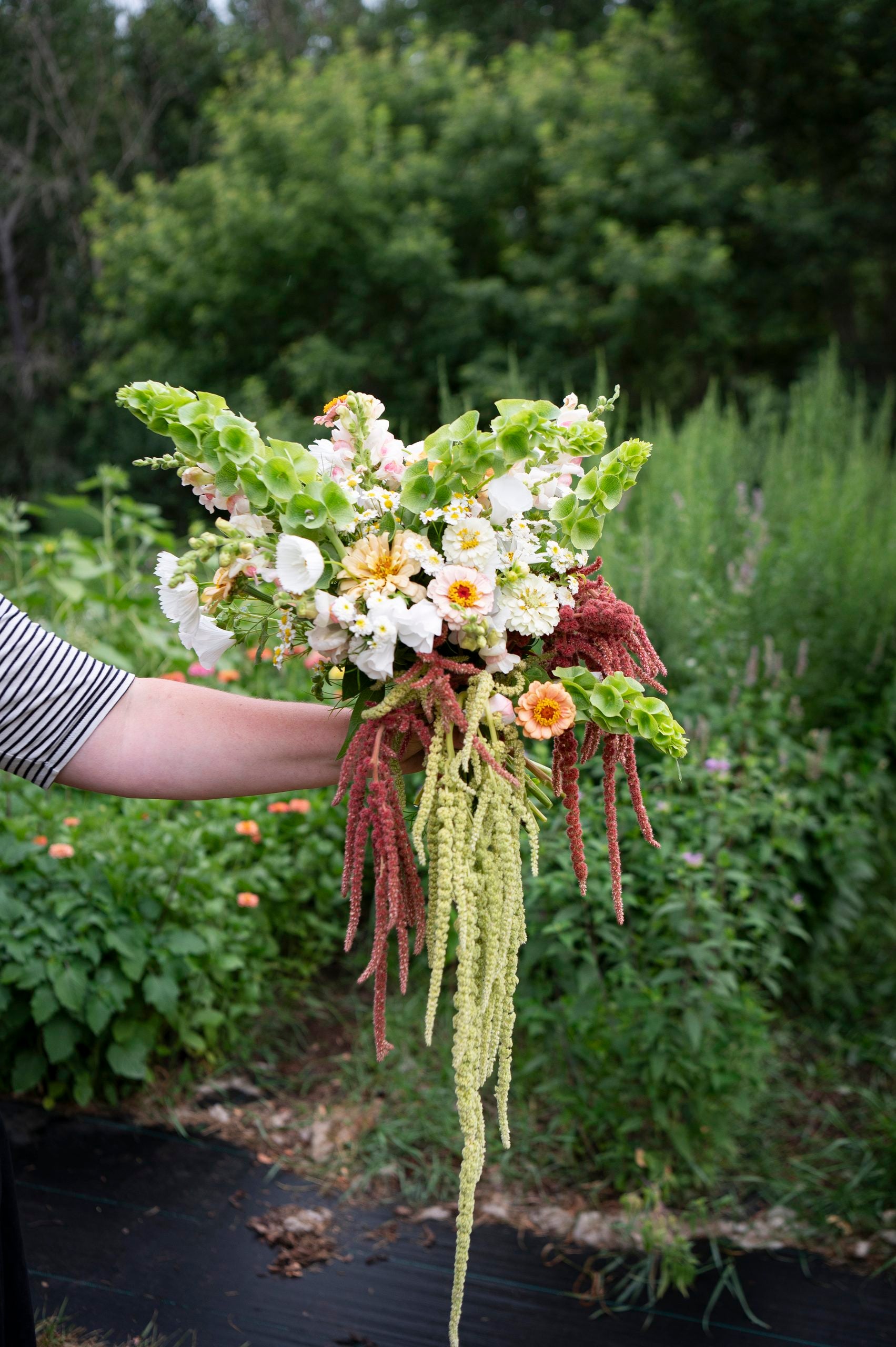 A person holds a bouquet of mixed flowers with trailing green and red amaranthus in a lush garden. The bouquet features white and yellow blooms and greenery.